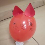 IMG20260204142722