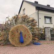 IMG8240