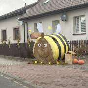 IMG8247