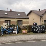 IMG8261